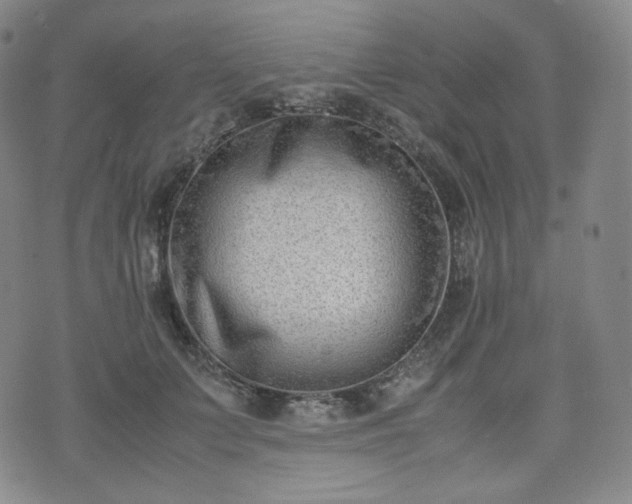 X0000071920703200607141335