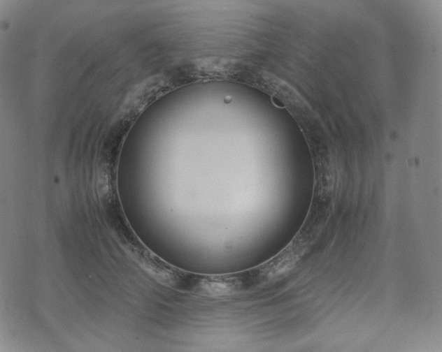 X0000071920706200607141335