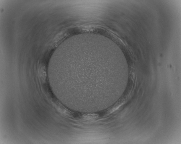 X0000071920707200607141335