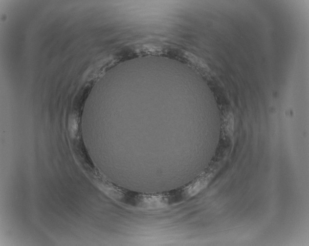 X0000071920709200607141335