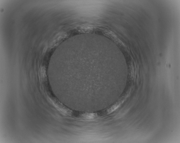 X0000071920711200607141335