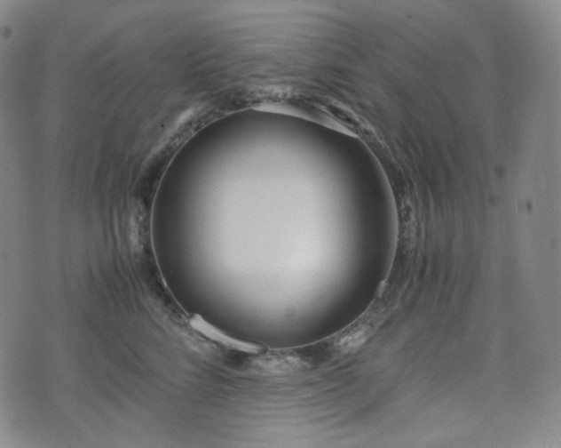 X0000071920712200607141335