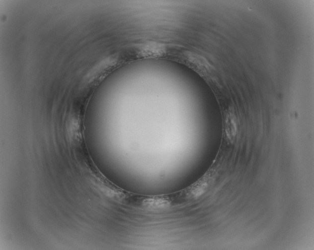 X0000071920714200607141335