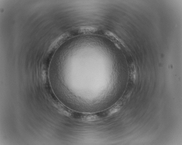 X0000071920716200607141335