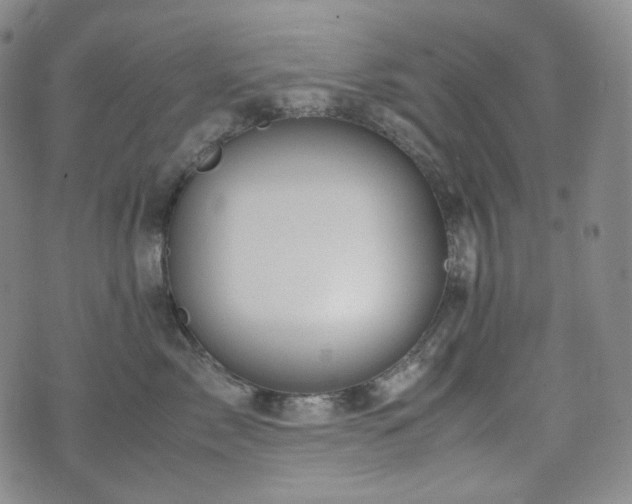 X0000071920717200607141335