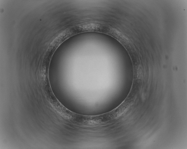 X0000071920737200607141335