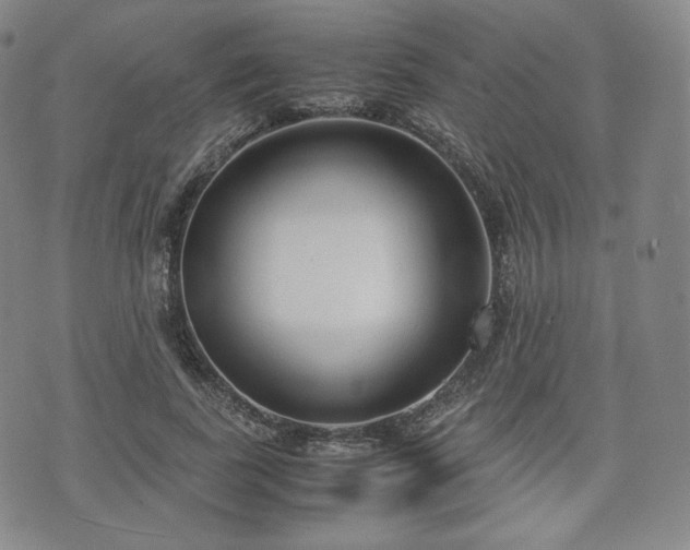 X0000071920739200607141335