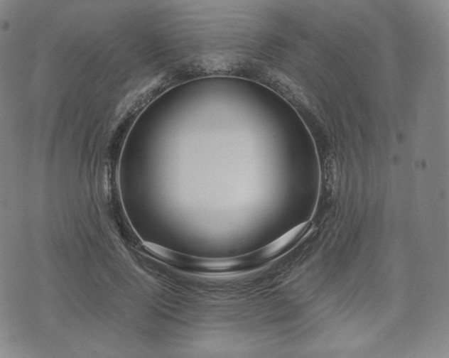X0000071920740200607141335
