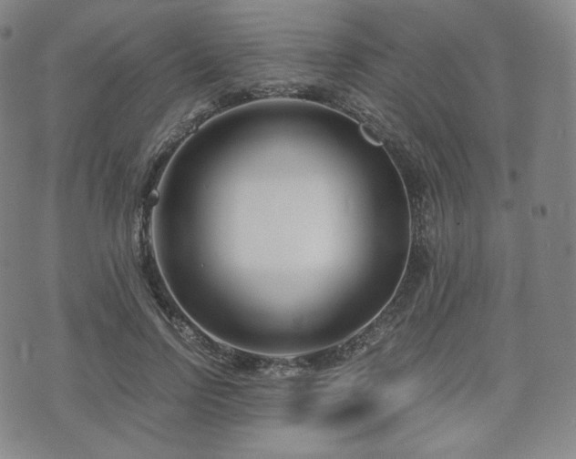 X0000071920742200607141335