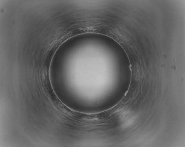 X0000071920747200607141335