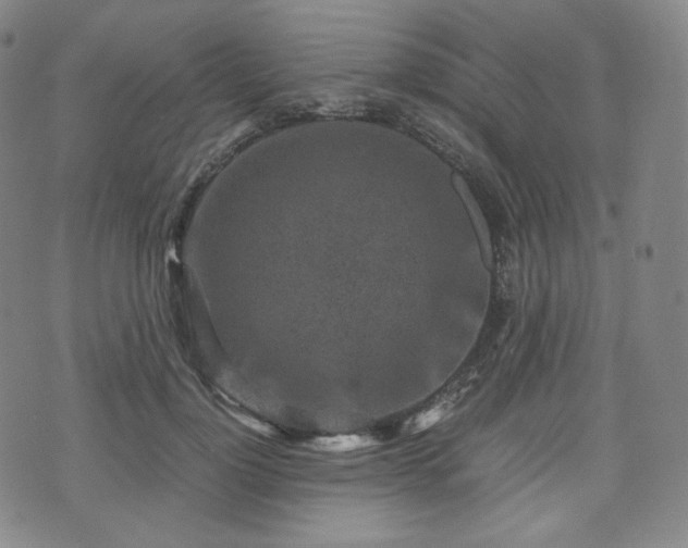 X0000071920748200607141335