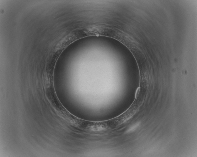 X0000071920751200607141335