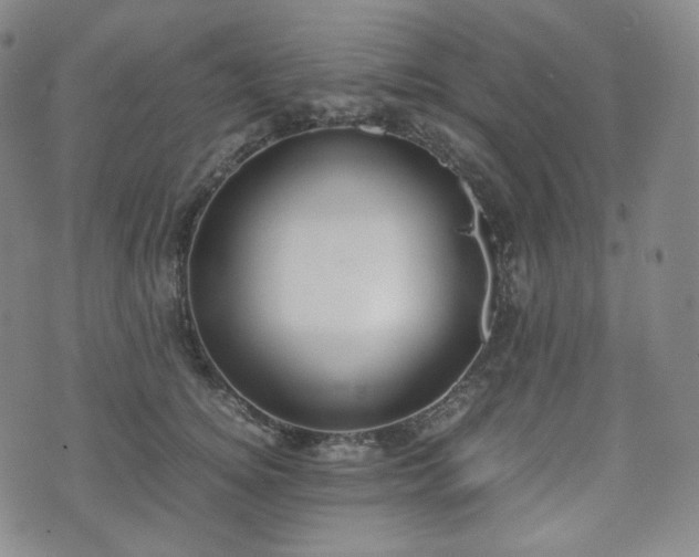 X0000071920756200607141335