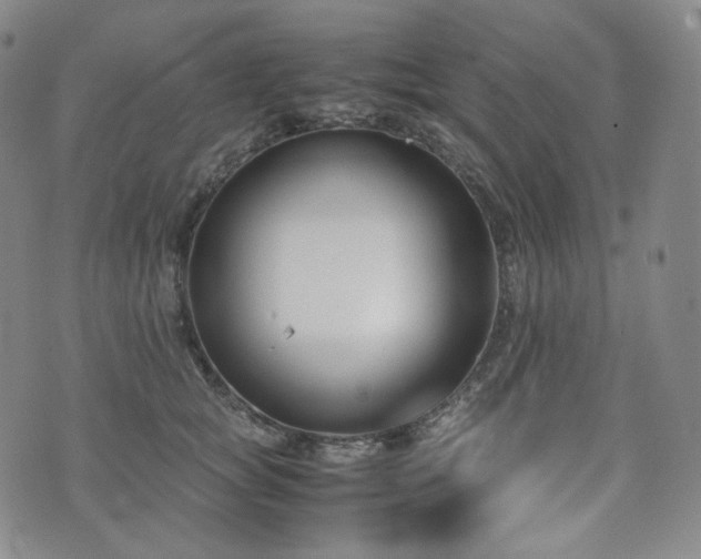 X0000071920757200607141335