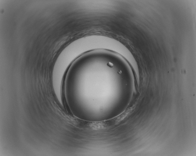 X0000071920762200607141335