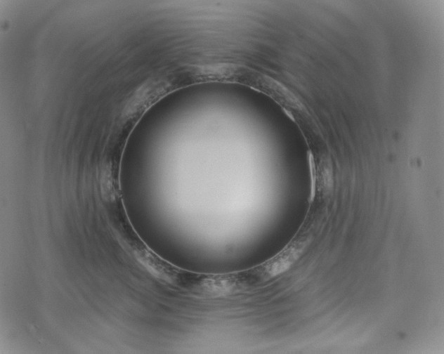 X0000071920764200607141335