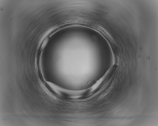 X0000071920788200607141334