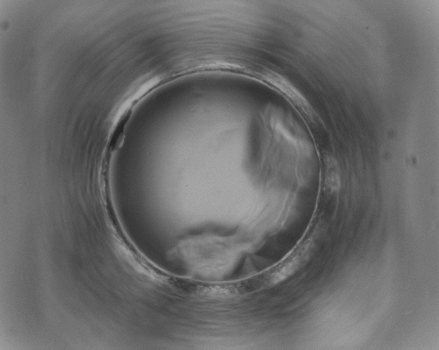 X0000071920806200607141334