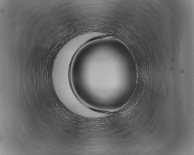X0000071920818200607141333