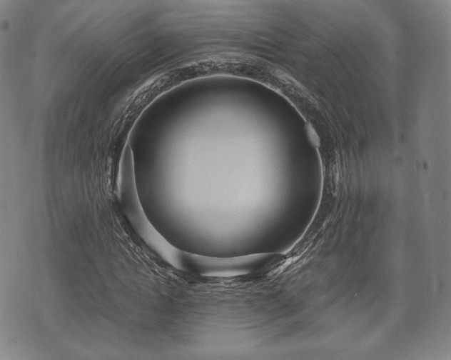 X0000071920822200607141333