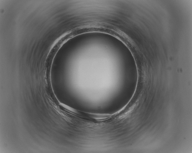 X0000071920830200607141333