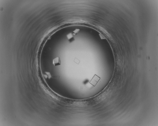 X0000071920840200607141333
