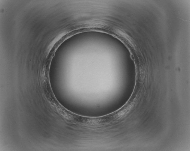 X0000071920875200607141333
