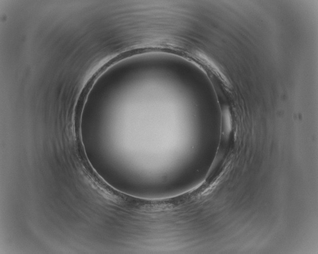 X0000071920884200607141332