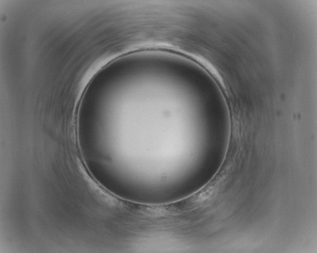 X0000071920911200607141332