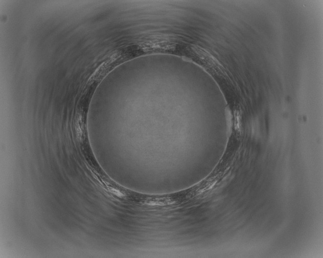 X0000071920915200607141331