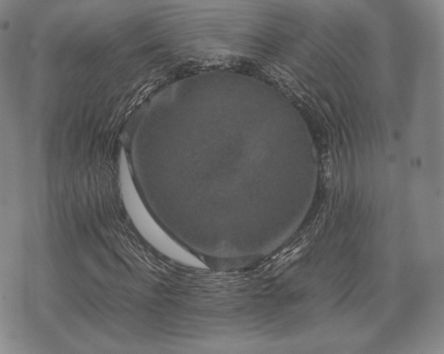 X0000071920916200607141331
