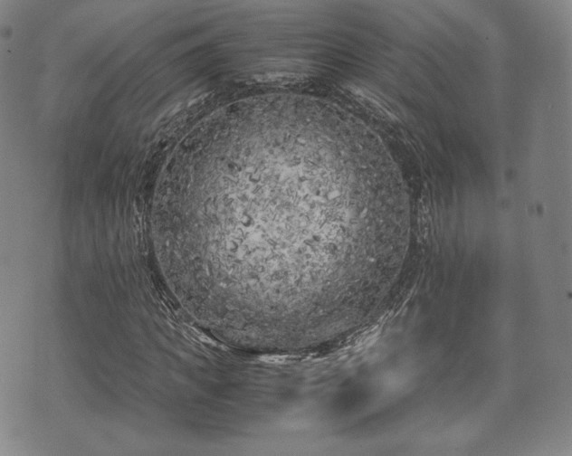 X0000071920917200607141331