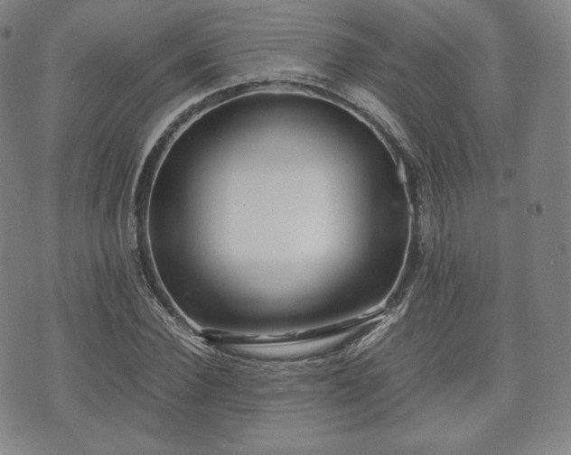 X0000071920924200607141331