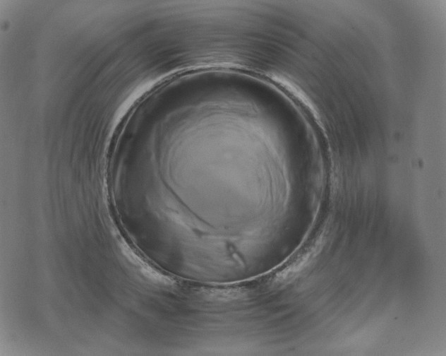 X0000071920941200607141332