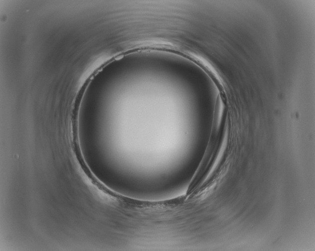 X0000071920999200607141331
