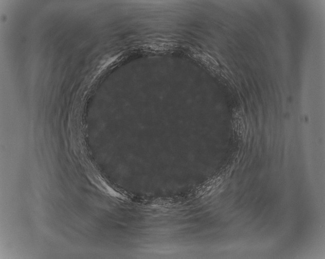 X0000071921009200607141330