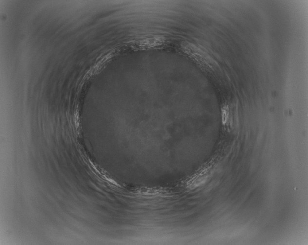 X0000071921011200607141330