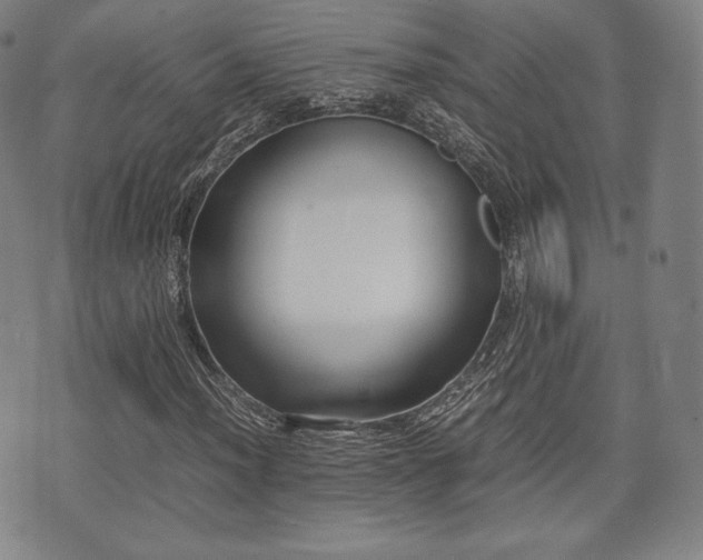 X0000071921012200607141330