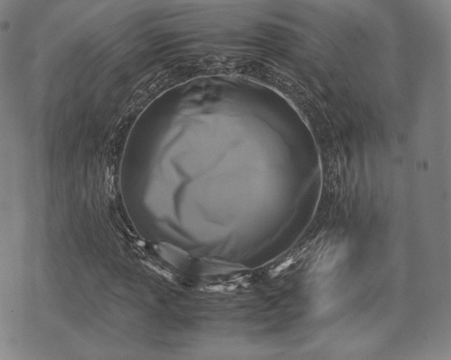 X0000071921013200607141330