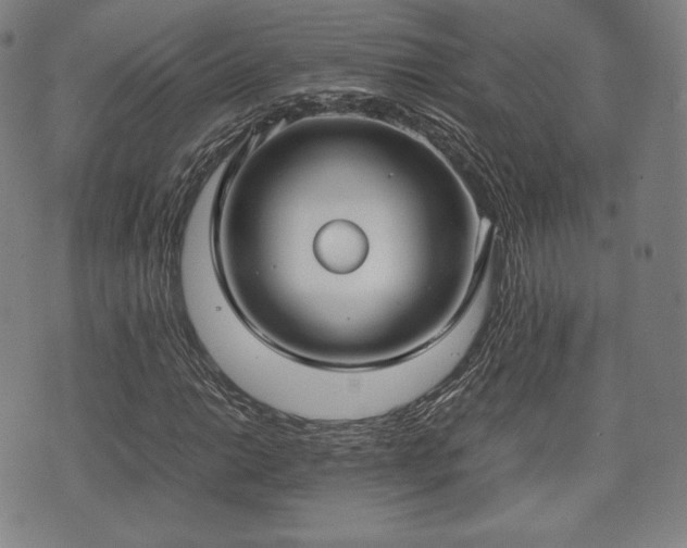 X0000071921014200607141330