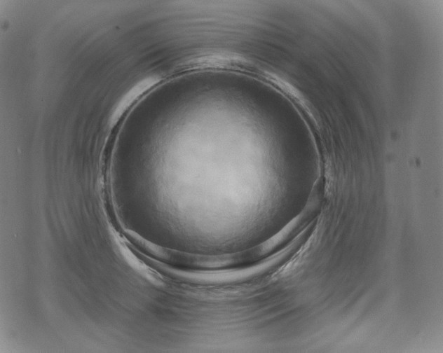 X0000071921042200607141330