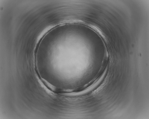 X0000071921046200607141330