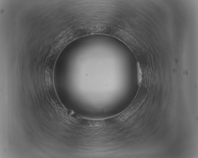 X0000071921058200607141330