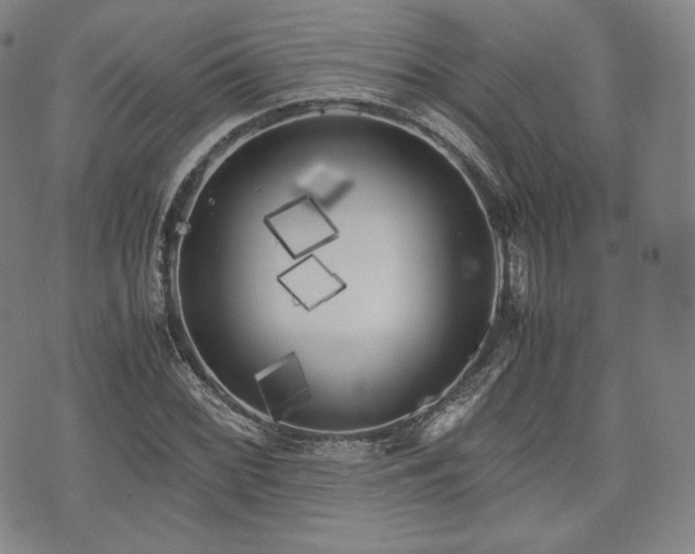 X0000071921068200607141329