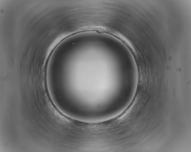 X0000071921102200607141329