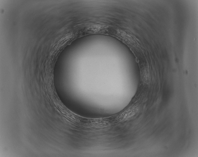 X0000071921105200607141328