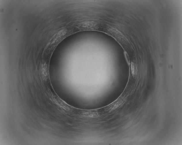 X0000071921107200607141328