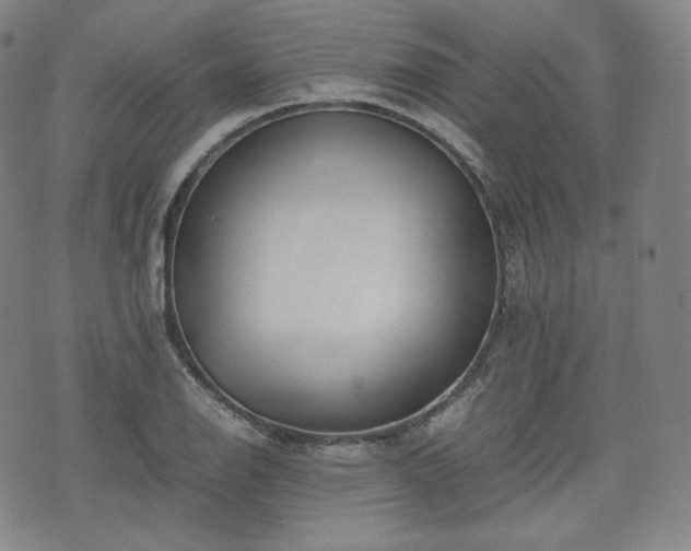 X0000071921126200607141328