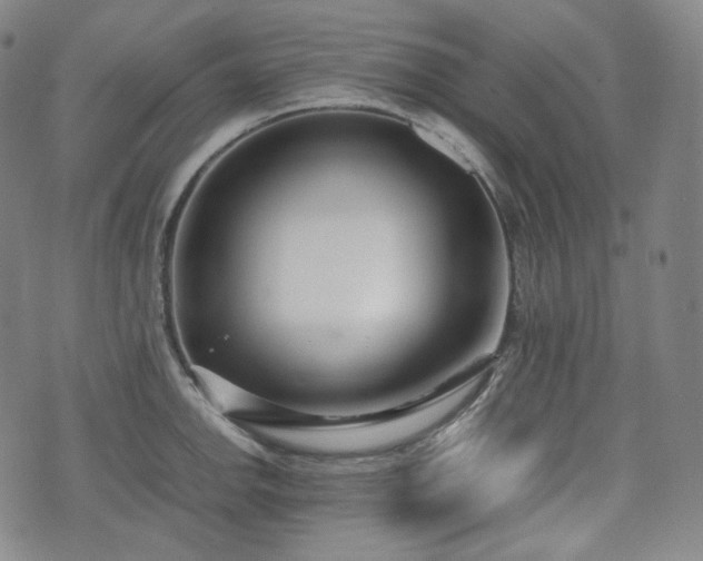 X0000071921142200607141329