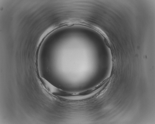 X0000071921146200607141329